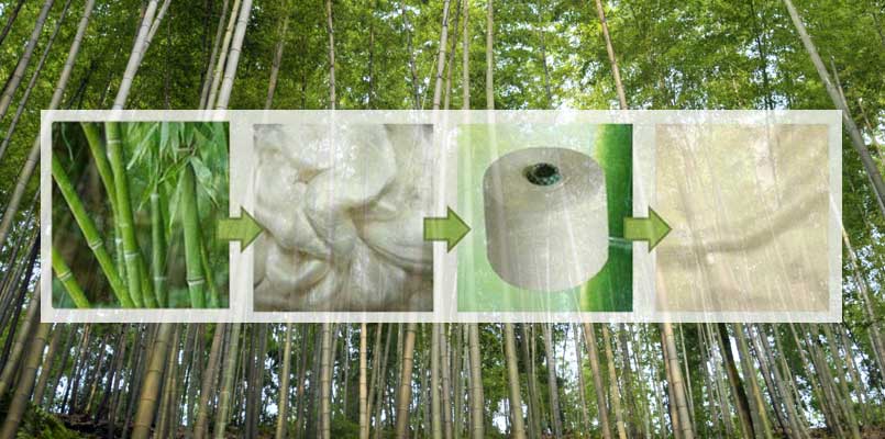 Comparison between bamboo pulp paper and wood pulp paper