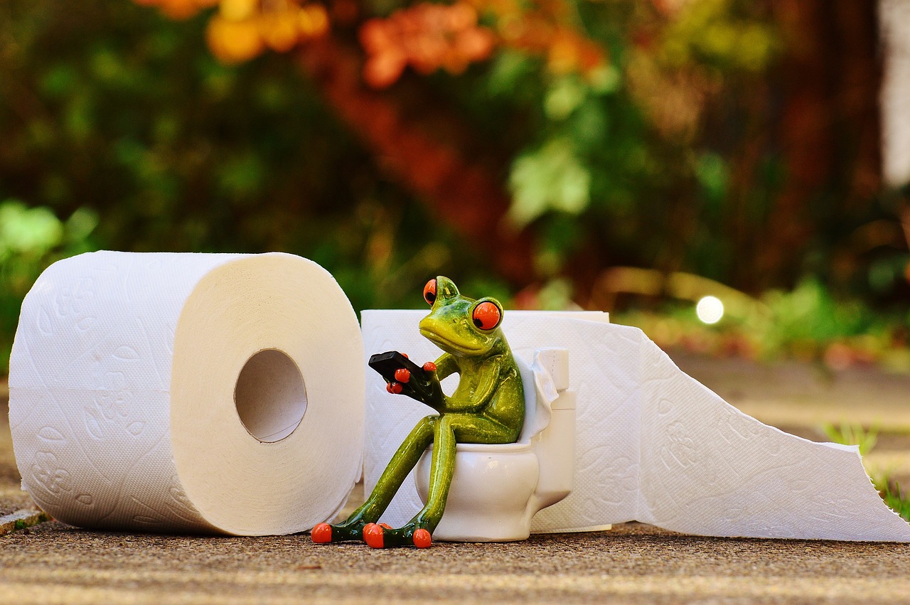 How to Make Your Toilet Paper Usage More Sustainable