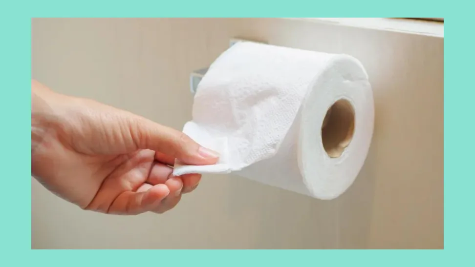 Is 4 Ply Toilet Paper Worth It?