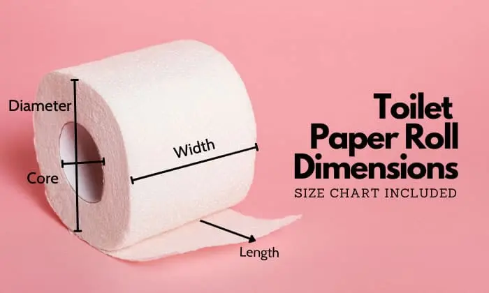 toilet paper roll dimenshions