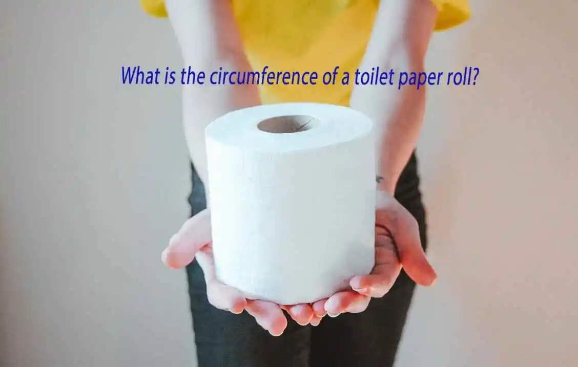 toilet paper roll circumference