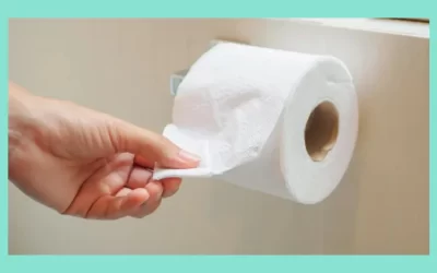 Is 4 Ply Toilet Paper Worth It?