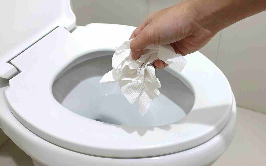 Can you flush paper towels?